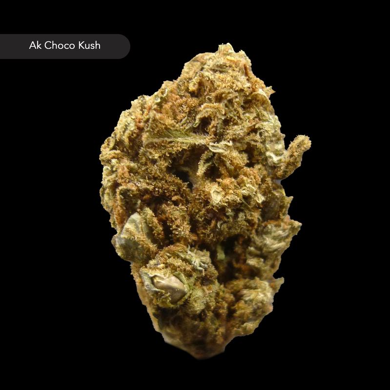 Ak Choco Kush