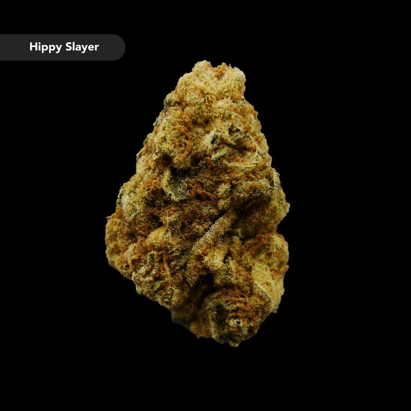 Hippy Slayer