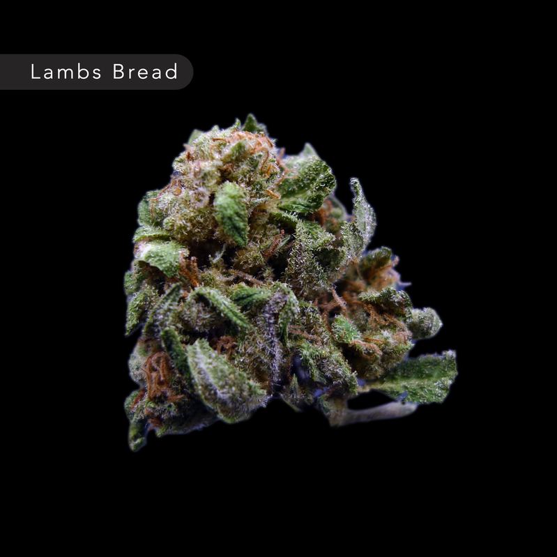 Lambs Bread