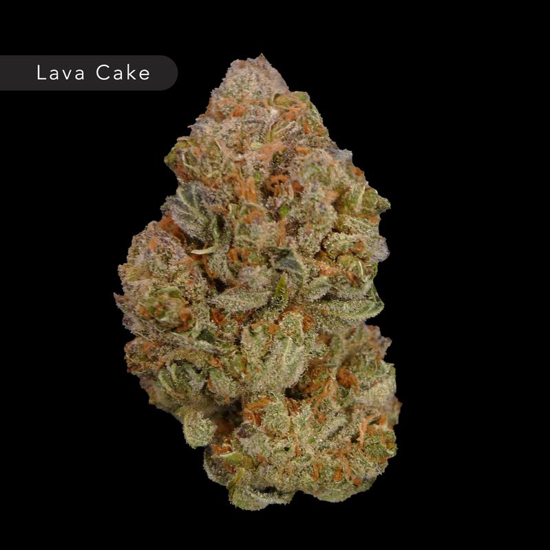 Lava Cake