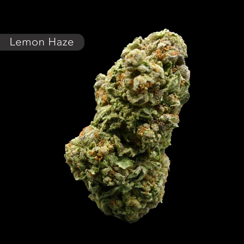 Lemon Haze
