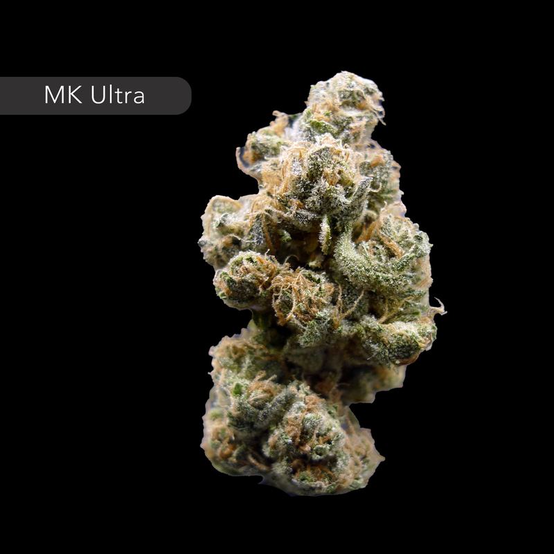 Mk Ultra