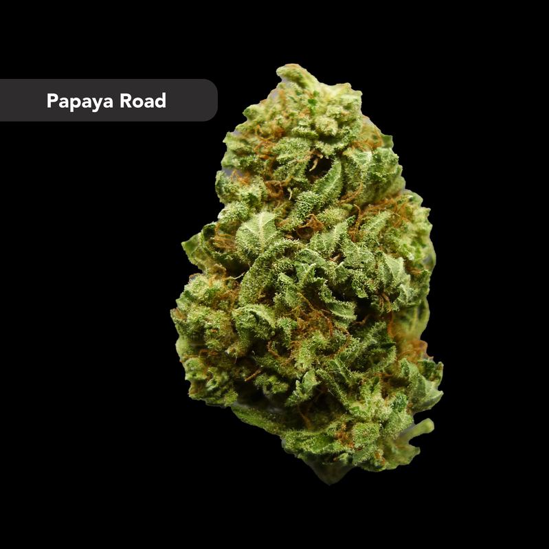 Papaya Road