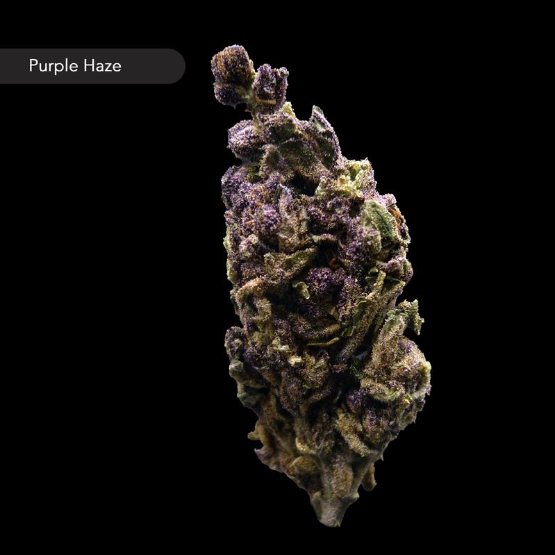 Purple Haze