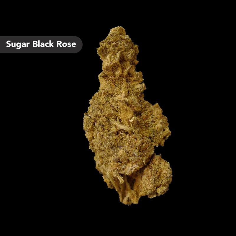 Sugar Black Rose