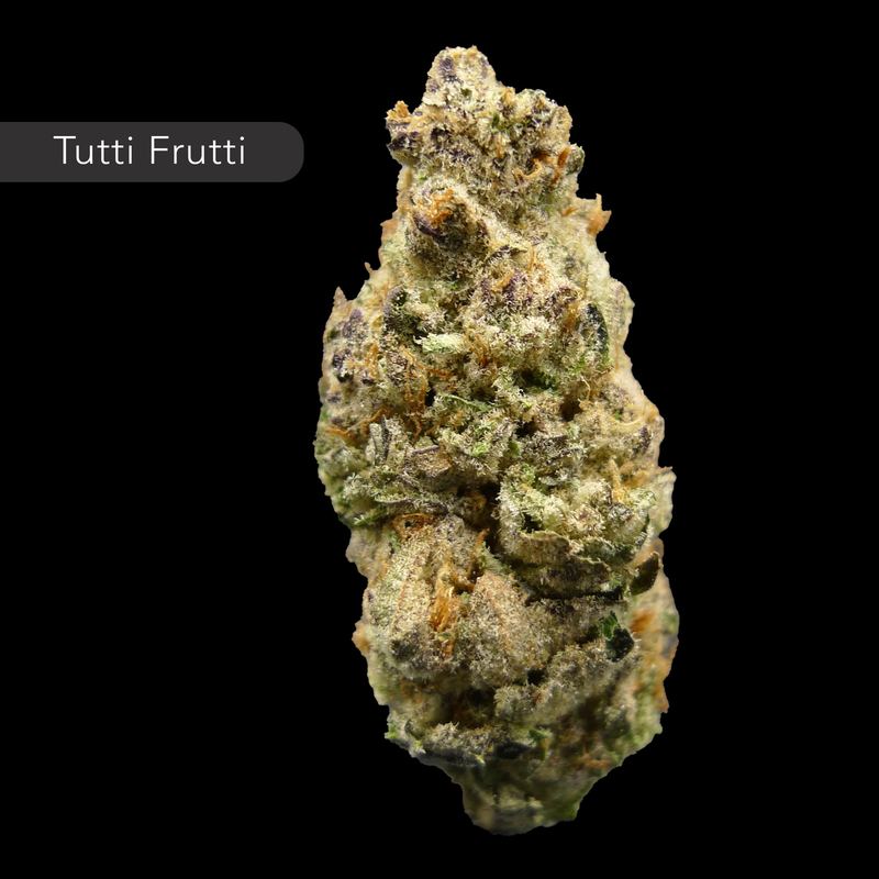 Tutti Frutti
